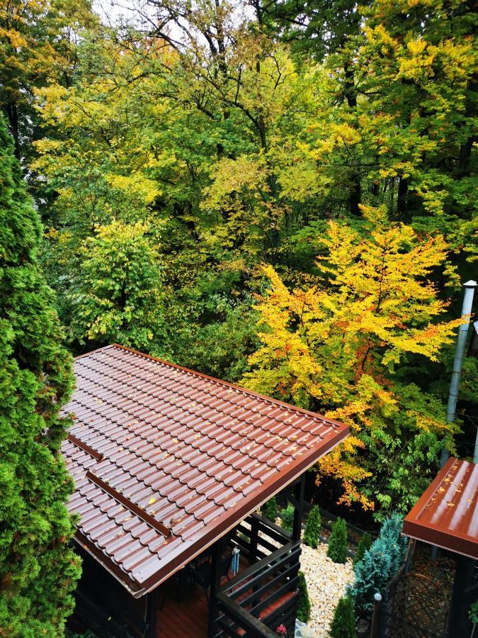 Hotel Casa Flandria Sinaia Exterior foto
