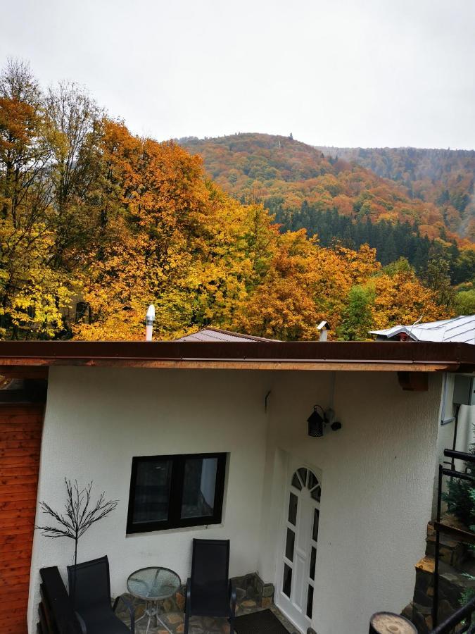 Hotel Casa Flandria Sinaia Exterior foto