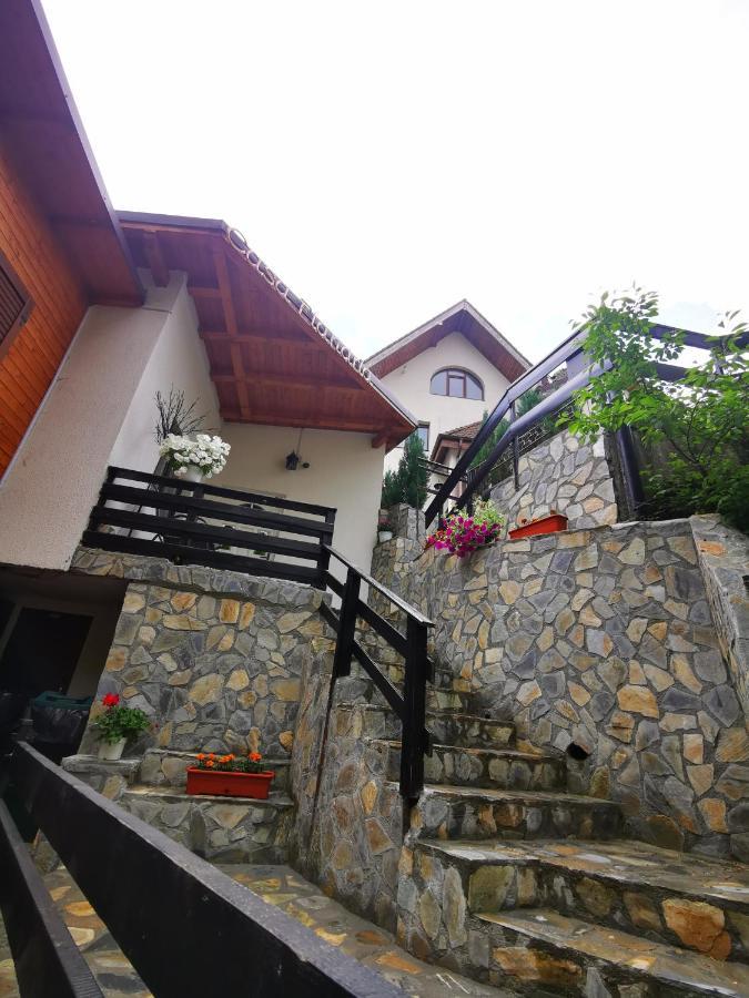 Hotel Casa Flandria Sinaia Exterior foto
