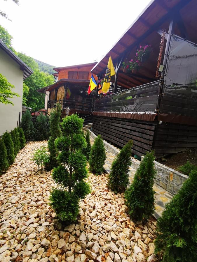 Hotel Casa Flandria Sinaia Exterior foto