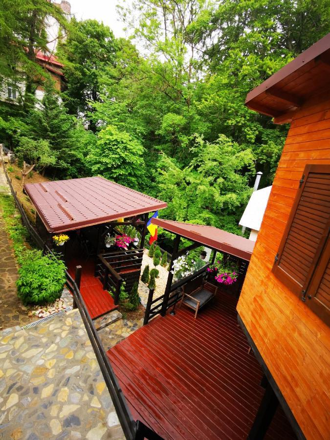Hotel Casa Flandria Sinaia Exterior foto